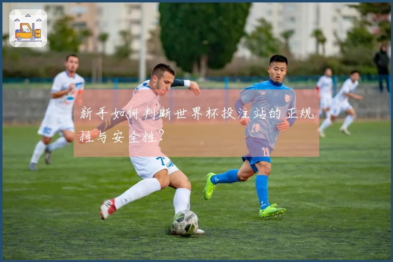 新手如何判断世界杯投注站的正规性与安全性？