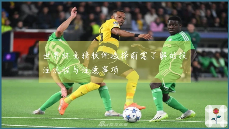 世界杯竞猜软件选择前需了解的投注流程与注意事项