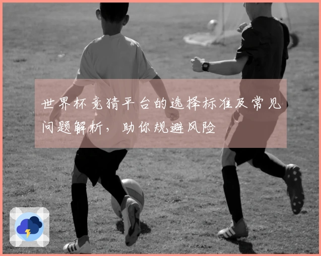 世界杯竞猜平台的选择标准及常见问题解析，助你规避风险